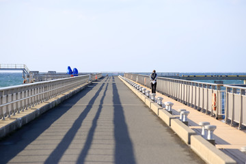 Obraz premium tateyama, japan, 11/17/2019 , Tateyama sunset bridge, in Chiba prefecture.