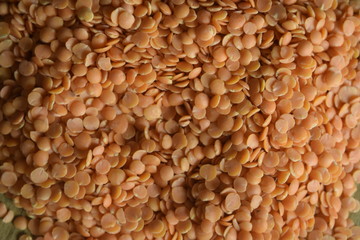 Red Dry Organic Lentils