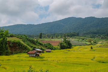 Fototapeta na wymiar landscape view of rice terraces field in the valley