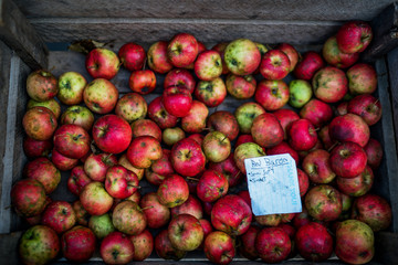 Local produce at the autumn farmers market in the city. Fresh and organic fruits. Agriculture products. Seasonal harvested. Bio, healthy, vegetarian food.