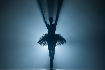 Ballerina in black tutu dress dancing on stage with magic blue light and smoke. Silhouette of young...