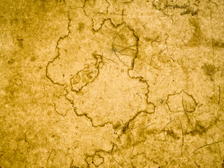 Antique brown-yellow parchment with spots and cracks. It is used as a blank for the designer, background, packaging, printed materials, sites. Stock photo.