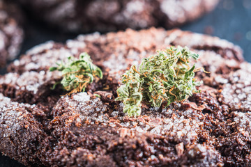 chocolate chip cookies with marijuana, sprinkled with chocolate chips and cannabis, are on a slate dish.