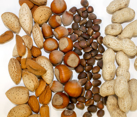 Nuts on a white background