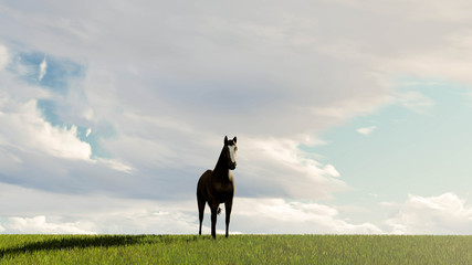 Lonely Horse at Sky Background 3D Rendering