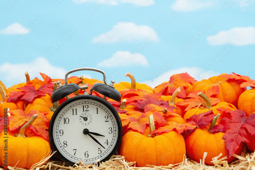 Poster Retro alarm clock with orange pumpkins with fall leaves on straw hay with sky - Posters