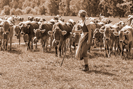 Allgäu - Viehscheid - Mädchen