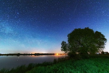 A magical starry night on the river bank with a large tree and a milky way in the sky and falling stars in the summer.