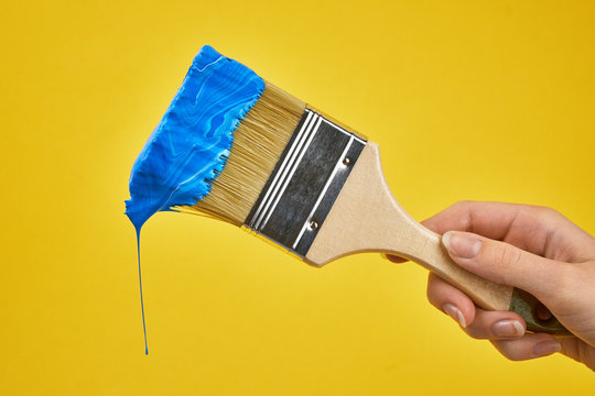 Hand Holding Paint Brush Images – Browse 57,455 Stock Photos, Vectors, and  Video