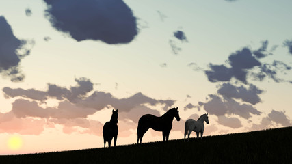 Horse Outdoor at Sunset 3D Rendering