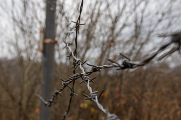 barbed wire guards the territory