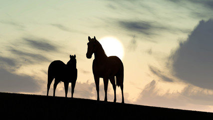 Horse Outdoor at Sunset 3D Rendering