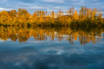 reflection of autumn trees in water