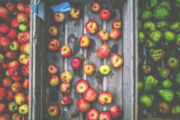 Local produce at the autumn farmers market in the city. Fresh and organic fruits. Agriculture...