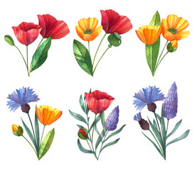 Set of hand drawn watercolor flowers. Illustrations for wedding invitations, cards, stickers, prints.