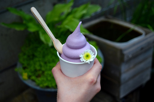 Unique Purple Sweet Potato Ice Cream with Wooden Spoon, White / Yellow Flower and Hand, Seoul, South Korea