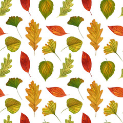Watercolor seamless pattern with fall colorful leaves on the white background. Hand drawn autumn background. Cute nature print with leaves for autumn decor.