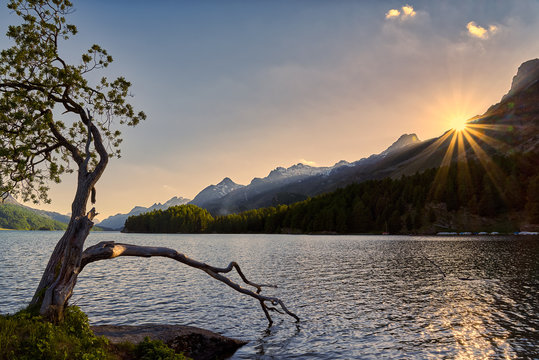 Silsersee (Lai da Segl)