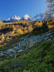 Alps scenery in the village of Chamonix-Mont-Blanc at sunset