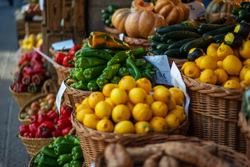 Vegetable stand at traditional market in Venice, Italy. Organic, agriculture products. Freshly, seasonal harvested vegetables. Bio, healthy food. Vegetarian food.