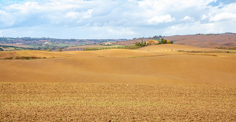 Fototapeta premium Tuscany Country Landscape Val d'Orcia Italy