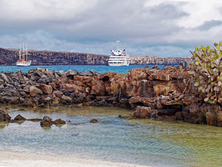 View from Darwin Beach of Genovesa Island in the Galapagos archipelago, Ecuador, South America - 304499249
