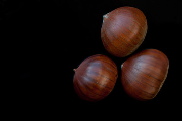 edible chestnuts isolated on black background.