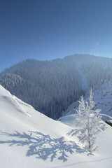 Allphotokz Medeu 20090309 4754 1DM3