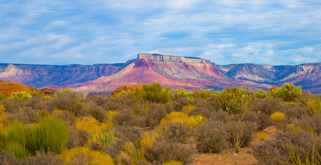 Fototapeta premium Grand Canyon im Nachmittagslicht, USA
