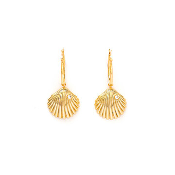 Gold Shell Earrings on Isolated White Background