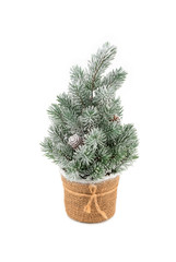Homemade Christmas tree decoration with hoarfrost and cones set in a pot isolated on white background. Plastic Xmas tree in sackcloth flower pot isolated on white underlay.