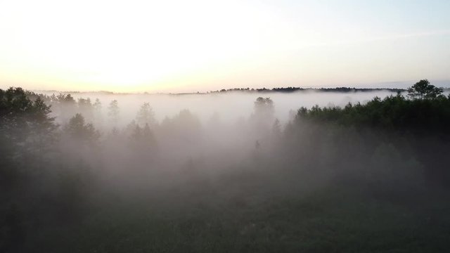 Mglisty wsch&oacute;d słońca nad lasem krajobraz z drona 