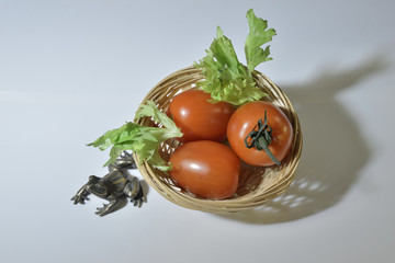 Tomatoes in a basket and a bronze frog.