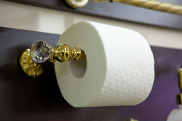 modern toilet roll holder in interior