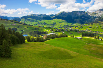 Naklejka premium Toggenburg_7771