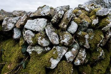 Close up view of dry stone wall covered with moss