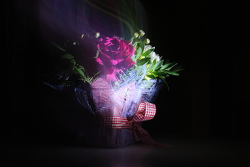 Vibes, the spirit of a bouquet, aroma, soaring over multi-colored bright flowers. A bouquet shot...