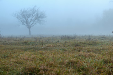Autumn landscape, quiet foggy morning by the river