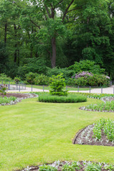 The Tiergarten, walk through the green beautiful park in central Berlin , green lawns and beautiful flowers
