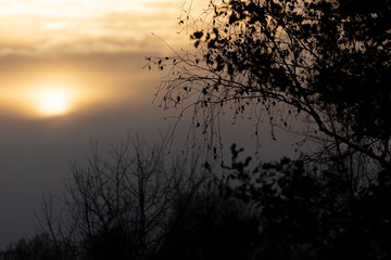 Fototapeta premium Die Sonne scheint durch den Nebel