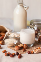 Fresh organic vegan milk. Alternative source of protein for vegetarians. Raw almond, hazelnut, rice and oat to show ingredients. Concept of healthy lifestyle. Closeup, white background, rustic style