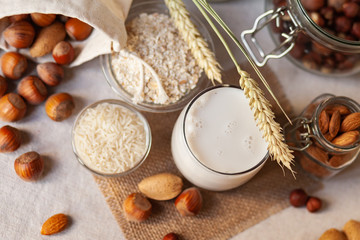 Fresh organic vegan milk. Alternative source of protein for vegetarians. Raw almond, hazelnut, rice and oat to show ingredients. Concept of healthy lifestyle. Closeup, white background, rustic style
