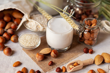 Fresh organic vegan milk. Alternative source of protein for vegetarians. Raw almonds, hazelnuts,...