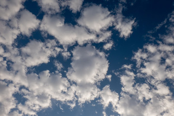 Obraz premium The Blue Sky And White Clouds .