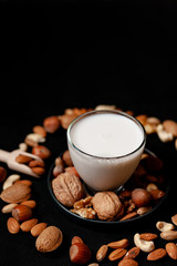 Fresh vegan alternative milk in glass cup. Closeup, black background. Healthy vegetarian food concept. Almond, cachou, walnut, hazelnut, pistachio to illustrate raw ingredients.  Copy space for text