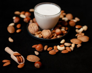 Fresh vegan alternative milk in glass cup. Closeup, black background. Healthy vegetarian food concept. Almond, cachou, walnut, hazelnut, pistachio to illustrate raw ingredients. 