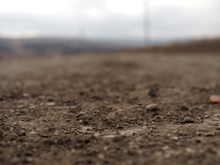 plowed field in spring