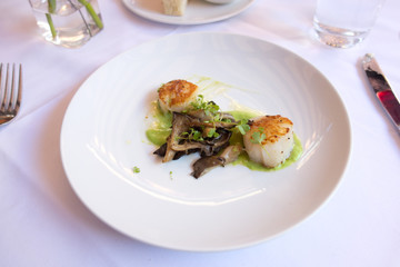 scallops on a plate