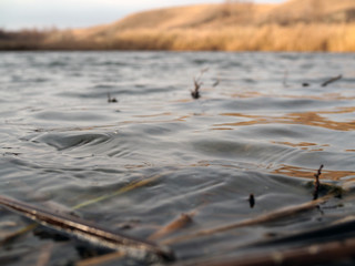 waves on the lake, water close-up