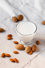 Fresh organic vegan almond milk. Alternative source of protein for vegetarians. Raw almonds, peeled and unpeeled to illustrate ingredients. Concept of healthy lifestyle. Closeup, white background.